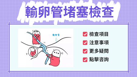 输卵管2.jpg