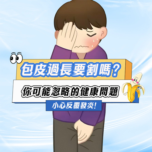 1779357819147111.jpg 包皮1.jpg